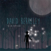 David Berkeley - The Well (Wait for the Rain)