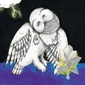 The Magnolia Electric Co. artwork