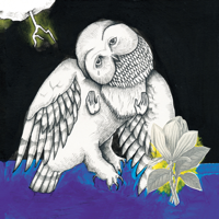 Songs: Ohia - The Magnolia Electric Co. artwork