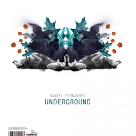 Underground (Murat Meijer Remix) Daniel Fernandes