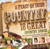 A Feast of Irish Country, 2013