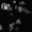 Interpol - Crimewaves