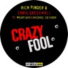 Crazy Fool (feat. MojoFluxx & Rachael Setareh) - Single