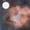 Amniotic - Heterotic lyrics