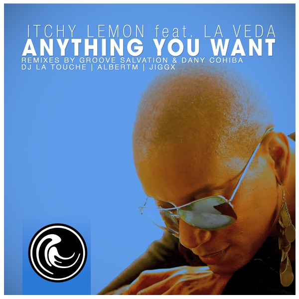 Anything You Want (feat. LaVeda)