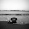 Spiders (Good Company) - Graham Smith and the Drone Smasherz lyrics