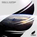 Acceptance (Matt Harrison Remix)