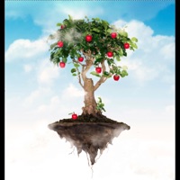 Jack Foster III - Real Roses (feat. Lynda Upthegrove)