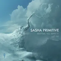 Let Go — Sasha Primitive