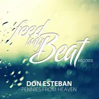 Pennies From Heaven — Don Esteban