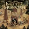Riders On the Storm (Infected Mushroom Remix) - Infected Mushroom lyrics