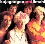 Too Shy (Midnight Mix) by Kajagoogoo & Limahl