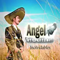 A Puros Besos — Angel Medina