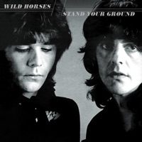 Wild Horses - The Axe