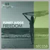 Funky Judge - Freedom (H@K Remix)