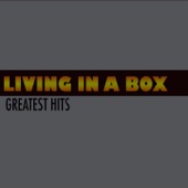 Living in a Box (Extend Mix) artwork