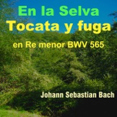 Tocata y Fuga in D Minor, BWV 565 (En la Selva Version) artwork