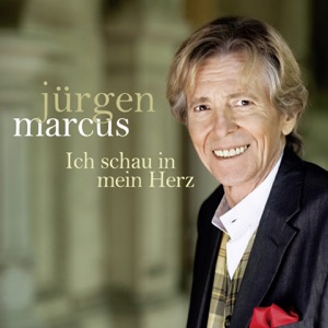 Ich schau in mein Herz - Single