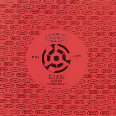 Not for You - Single - Pearl Jam
