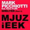 Shelter (Rhythmic Groove Remix)