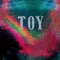 Bright White Shimmering Sun (Ant Theaker Mix) - TOY lyrics