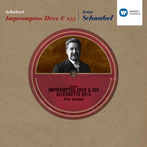 Schubert: Impromptus D899 & 935