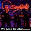 We Like Soulful (Extended Version) - Single