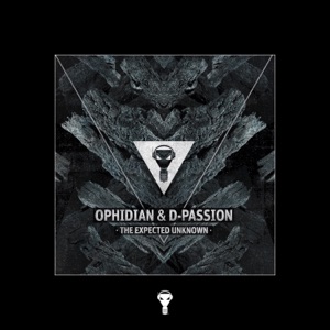 The Expected Unknown - Single