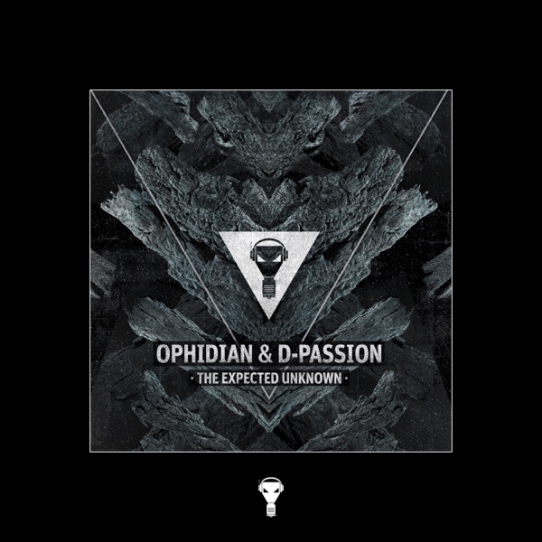 The Expected Unknown - Single