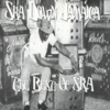 Ska Down Jamaica - Various Artists