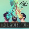 Blood, Sweat & 3 Years artwork