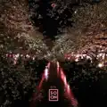 Carousel