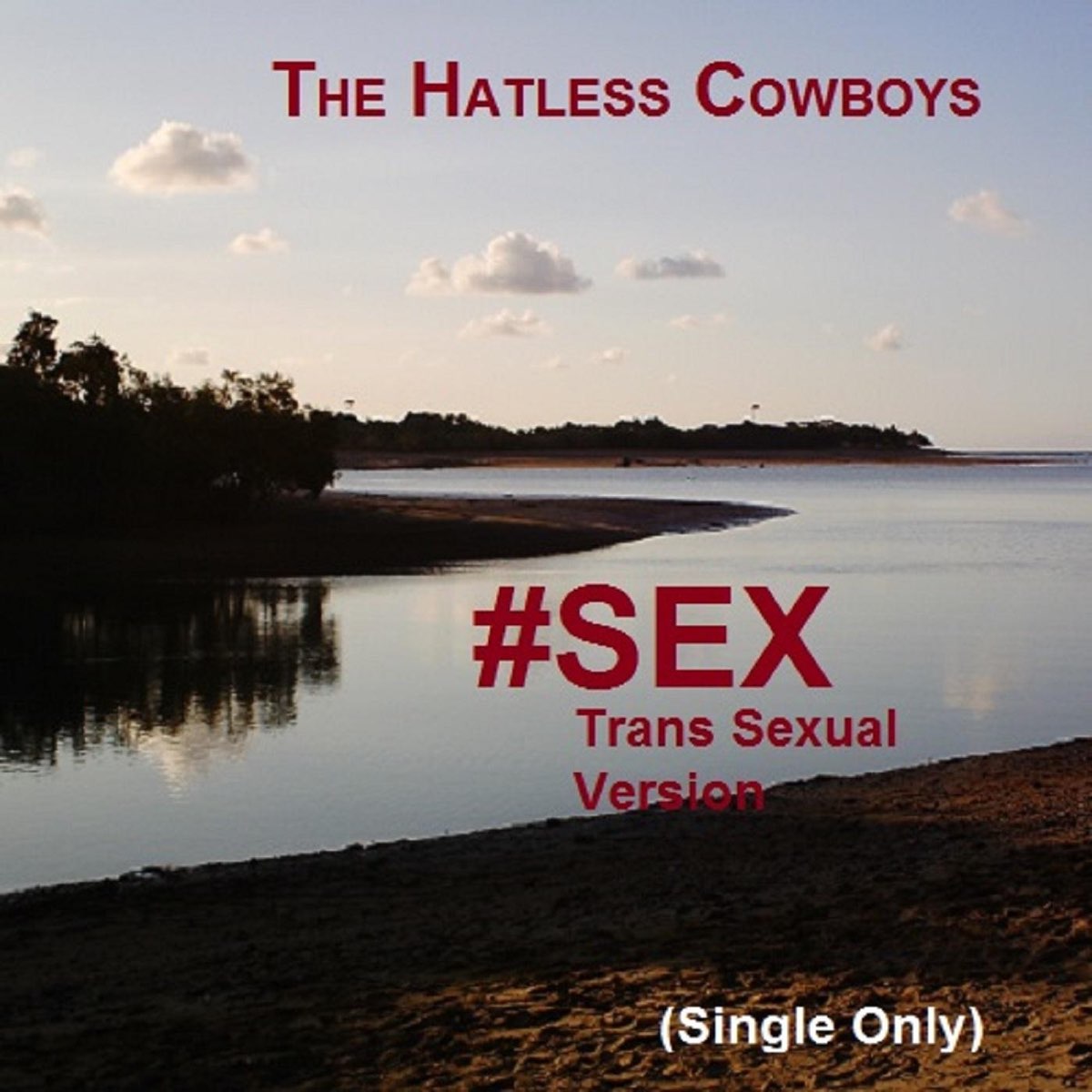 Альбом «#Sex (Trans Sexual Version) - Single» — The Hatless Cowboys — Apple  Music