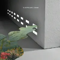 Pobre Corazón — El Estrellero