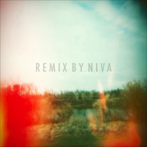 What We Lost (Niva Remix) [feat. The Forest and the Trees]