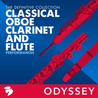 Frans Brüggen, Edward Witsenburg, Frans Vester & Mozart Ensemble Amsterdam - Flute and Harp Concerto in C Major, K. 299/297c: II. Andantino
