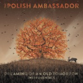 The Polish Ambassador - Never Coming Down (Instrumental)