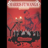 Binnen (feat. Wanga) - Single - Harris De Hakker