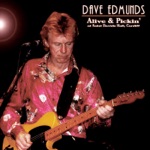 Dave Edmunds - I Knew the Bride (Live)