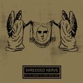 Stone, Lead and Gasoline by Shredded Nerve