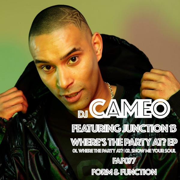 Where's the Party At? - Single
