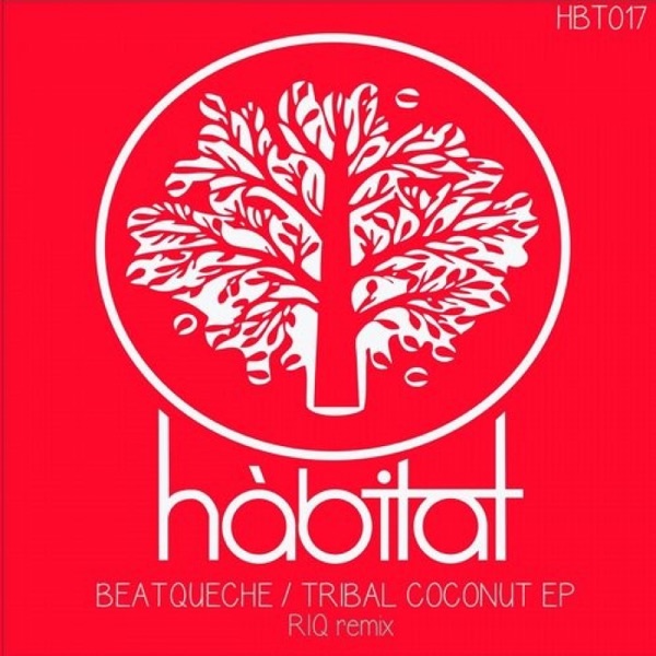 Tribal Coconut - Single