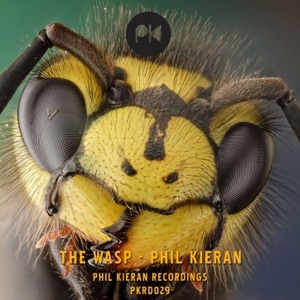 The Wasp - Single