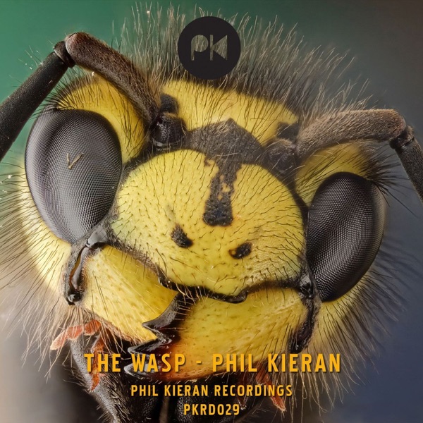 The Wasp - Single
