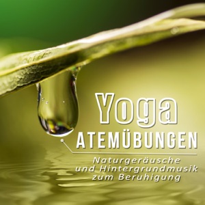 Yoga Atemübungen - Meditationsmusik für Achtsamkeitsübungen, Entspannungsmusik für Geistheilung, Naturgeräusche und Hintergrundmusik zum Beruhigung