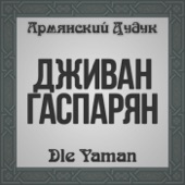 Dle Yaman (Armenian Duduk) artwork