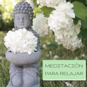 Meditaciòn para Relajar - Mùsica New Age para Relajar la Mente y el Cuerpo, Música de Meditación Instrumental para Sanar el Alma