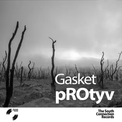 Ascolta 'Gasket' di Protyv