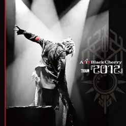 Acid Black Cherry Tour "2012" Live - Acid Black Cherry