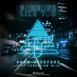 Someone Like You (feat. Sebastian Wijk) [Radio Edit] Adam Rickfors
